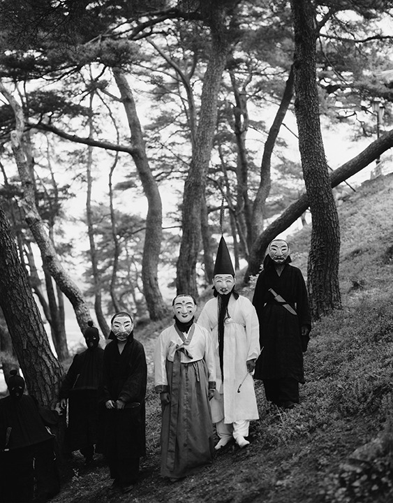 Just a normal day in the&nbsp;forest