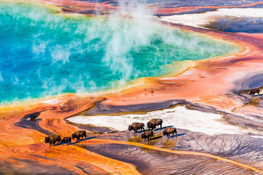 Yellowstone National Park, Wyoming, photo by Yueru&nbsp;Hao