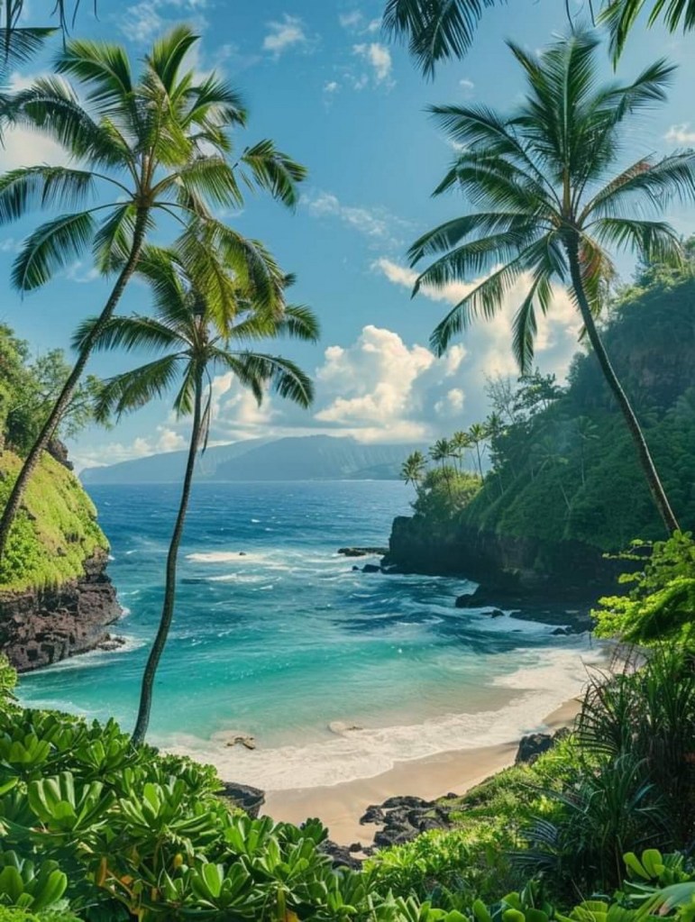 Tropical beach